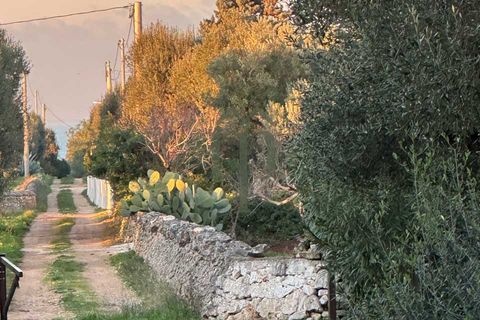 Ruinere i Ostuni, Brindisi, Ostuni - € 79.000 | Ref: Lamia Degli Uli - foto 2